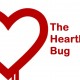 Heartbleed bug